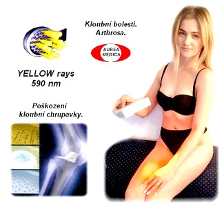 obsah-Julija-yellow-femur.jpg