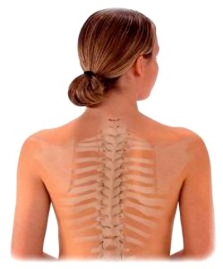 obsah01-woman-vertebra.jpg